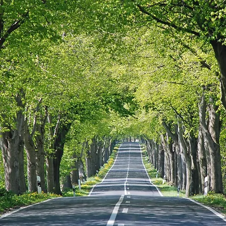 Appartementhaus Mit Balkon 300 M Bis Zum Vg Гёрен