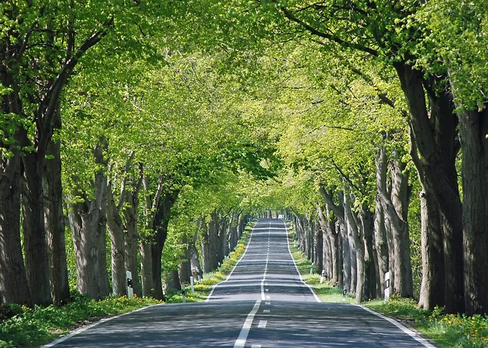 Appartementhaus Mit Balkon 300 M Bis Zum Vg Goehren (Ruegen)